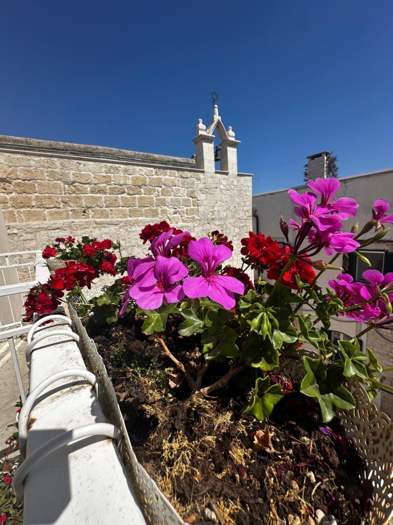 B&B Sigo Trani Exterior foto