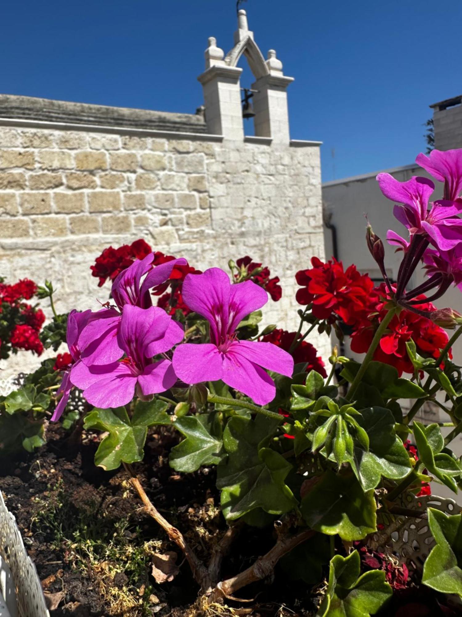 B&B Sigo Trani Exterior foto